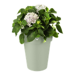 green basics top planter hoog 35cm steengroen